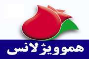 برگزاری دوره آموزشی هموویژیلانس  