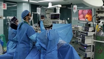 Successful Laparoscopic Gallbladder Removal Surgery on a 27-Week Pregnant Woman at Ziaeean Hospital